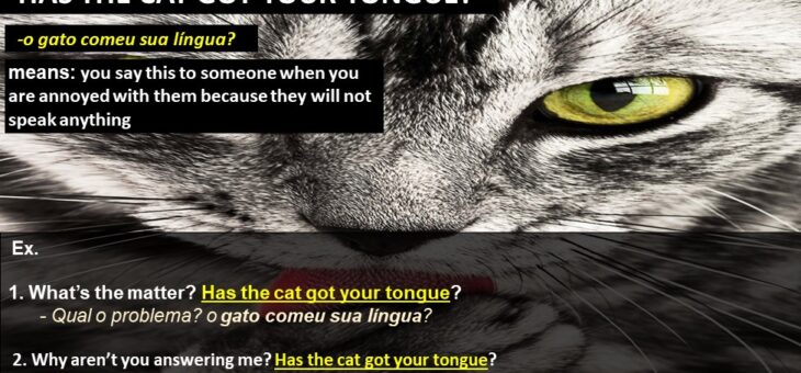Has the cat got your tongue (o gato comeu sua língua) , To get wind of something (saber algo/ tomar conhecimento de algo)
